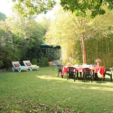Casa Bamboo